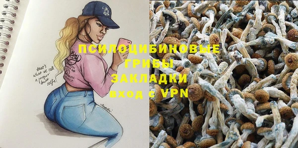 MESCALINE Аркадак