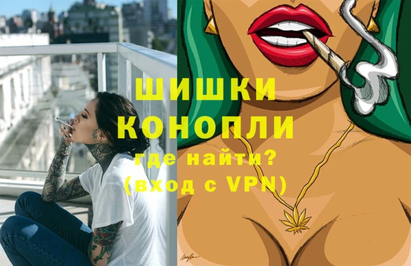 бошки Алексин