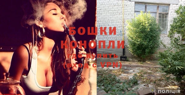 бошки Алексин