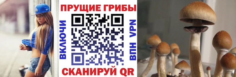 Псилоцибиновые грибы MAGIC MUSHROOMS  наркошоп  Отрадная 