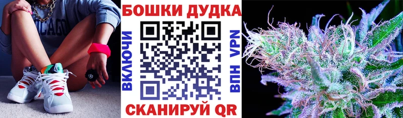 сколько стоит  Отрадная  Бошки Шишки семена 